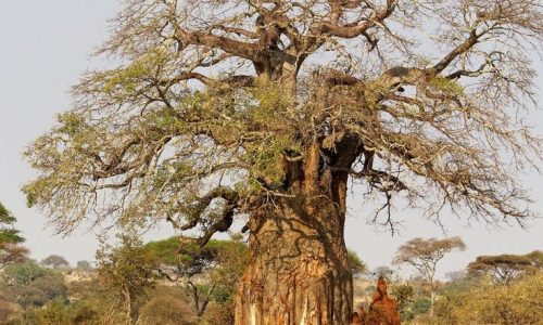 xr:d:DAFTcXOA_EQ:6,j:44735048158,t:23040616